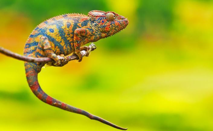 kleur bekennen, cobouw, profile dynamics